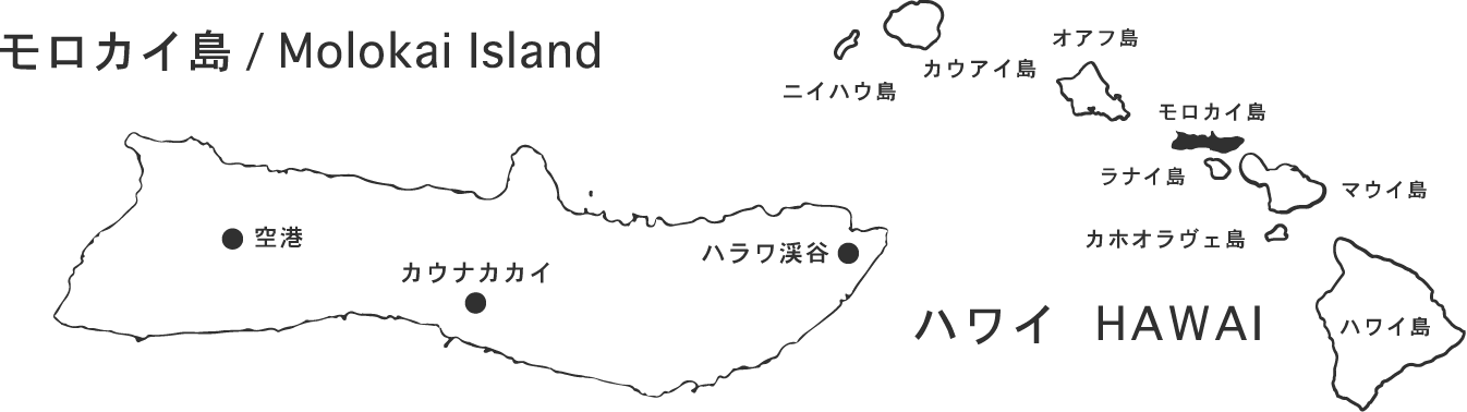 hawai_map
